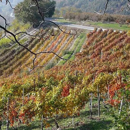 Farm stay Cascina Sant'eufemia *