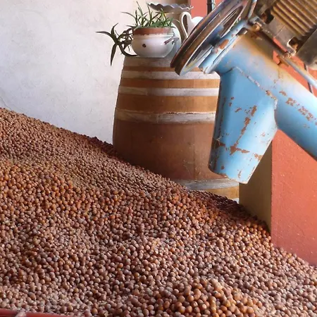 Gospodarstwo agroturystyczne Cascina Sant'eufemia *