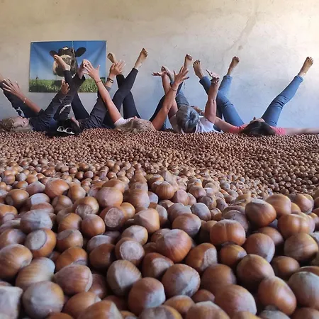 Bauernhof Cascina Sant'eufemia *