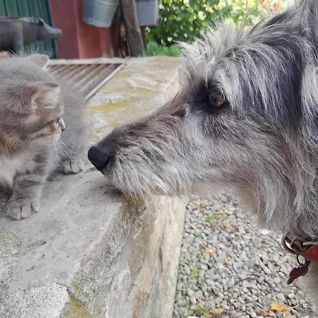 Gospodarstwo agroturystyczne Cascina Sant'eufemia Sinio