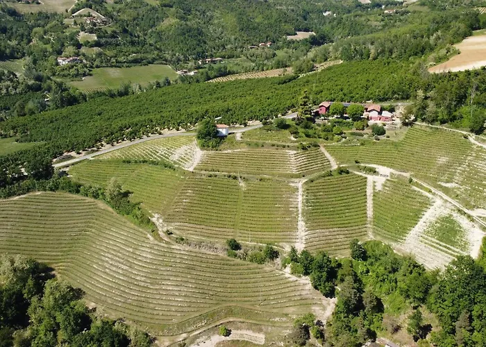 Cascina Sant'eufemia シーニオ